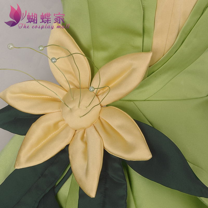 Princess Tiana Dress Cosplay C - Men Accessories Pack reseña y precio